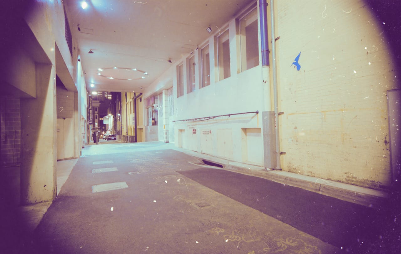 Burnett Lane 2011 - North East facing. Kodak Porta 160