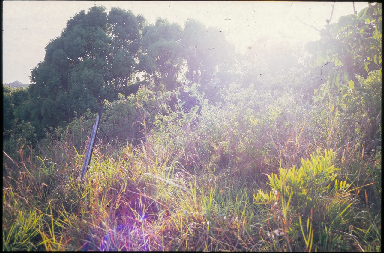 Sunrise at Island Quarry - Byron Bay November 2011