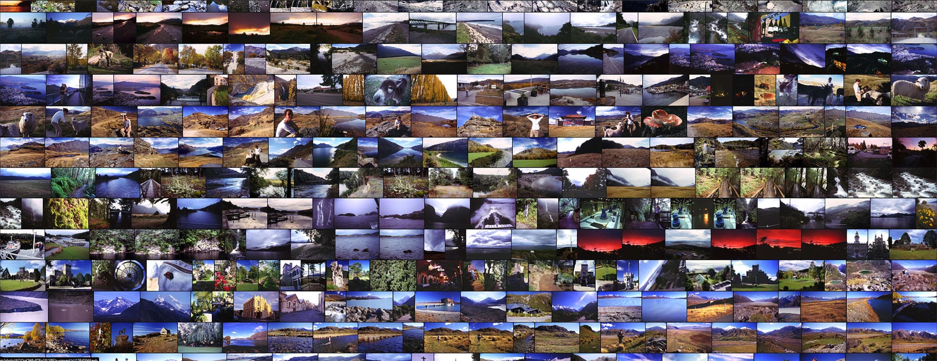 Unsorted holiday snaps from New Zealand